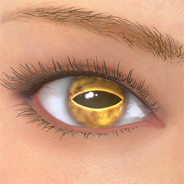 T_UI_CUS_CH_item_der_eye_toad
