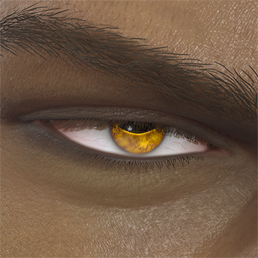 T_UI_CUS_CH_item_dog_eye_toad