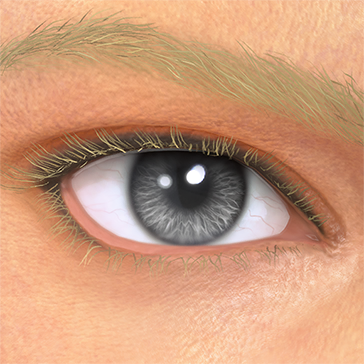 T_UI_CUS_CH_item_ghp_eye_contacts_gray