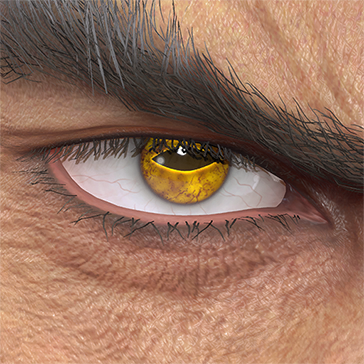 T_UI_CUS_CH_item_grl_eye_toad