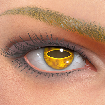 T_UI_CUS_CH_item_kal_eye_toad