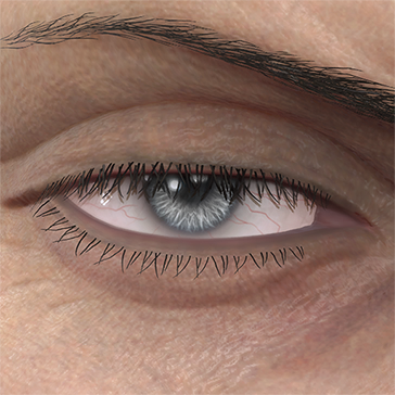 T_UI_CUS_CH_item_kmd_eye_contacts_gray