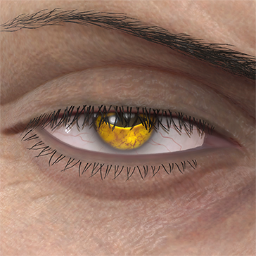T_UI_CUS_CH_item_kmd_eye_toad