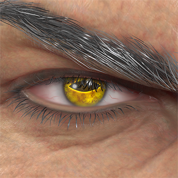 T_UI_CUS_CH_item_lon_eye_toad
