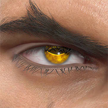 T_UI_CUS_CH_item_lzd_eye_toad