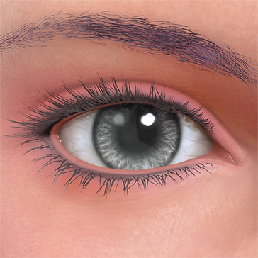 T_UI_CUS_CH_item_mnt_eye_contacts_gray