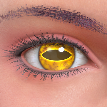 T_UI_CUS_CH_item_mnt_eye_toad