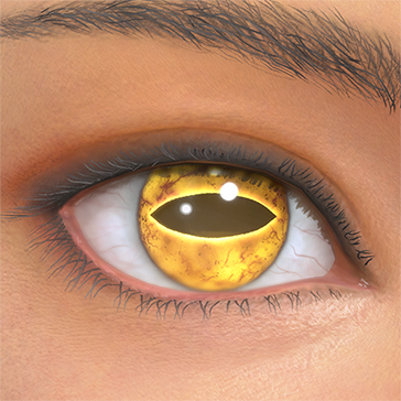 T_UI_CUS_CH_item_rat_eye_toad