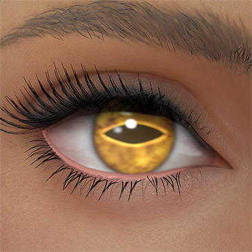 T_UI_CUS_CH_item_wkz_eye_toad