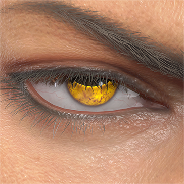T_UI_CUS_CH_item_wlf_eye_toad