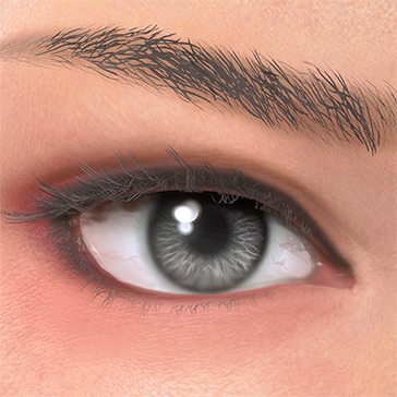 T_UI_CUS_CH_item_zbr_eye_contacts_gray