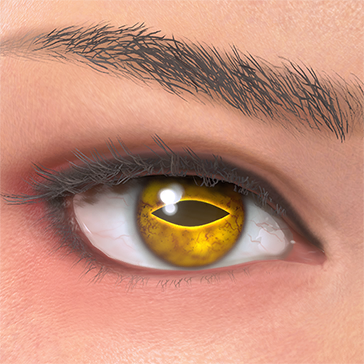 T_UI_CUS_CH_item_zbr_eye_toad