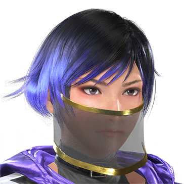 T_UI_CUS_CH_item_zbr_fah_faceveil